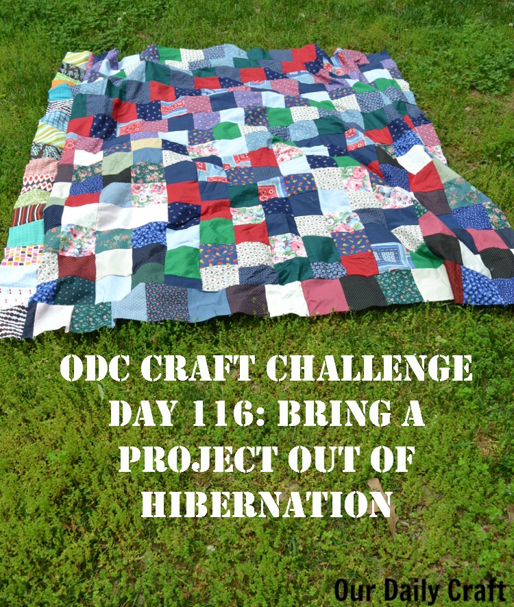 Bring a Project Out of Hibernation {Craft Challenge, Day 116}