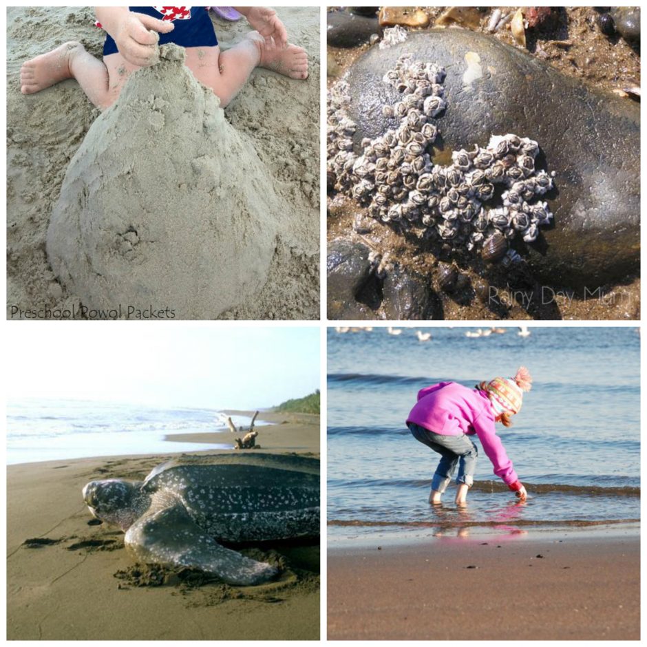 Great beach activities for summer fun and learning.