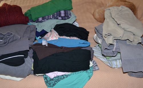 clothes purge