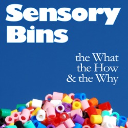 sensory bins ebook
