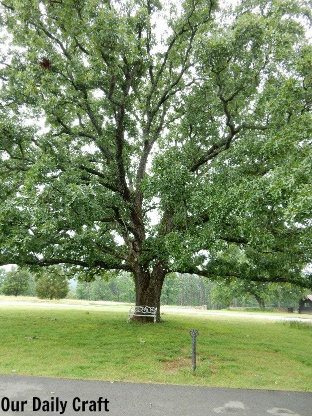 big sister post oak