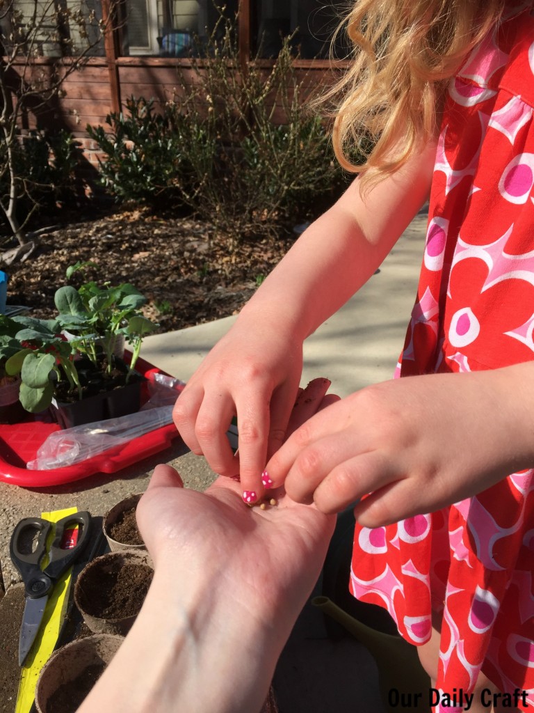 small planting with kids