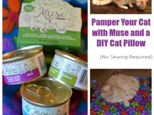 make your cat happy with muse cat food and a diy no-sew cat pillow