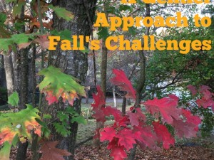 the challenges of fall can be too much for some. Here's what to try if blogging every day doesn't sound fun to you.