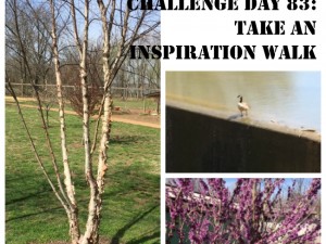 Take an inspiration walk and gather pictures