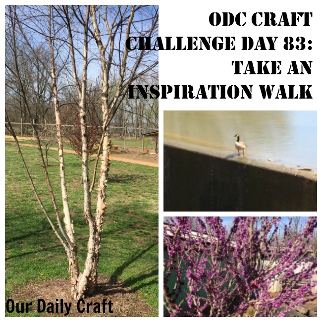 Take an inspiration walk and gather pictures