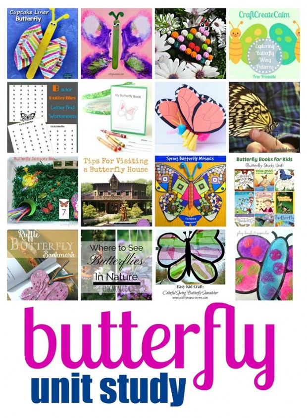butterfly unit study