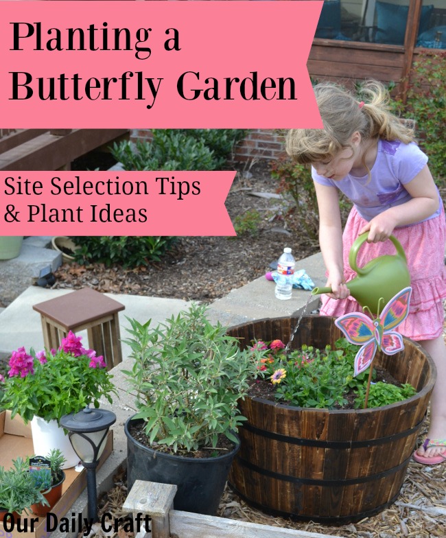 Tips for planting a butterfly garden