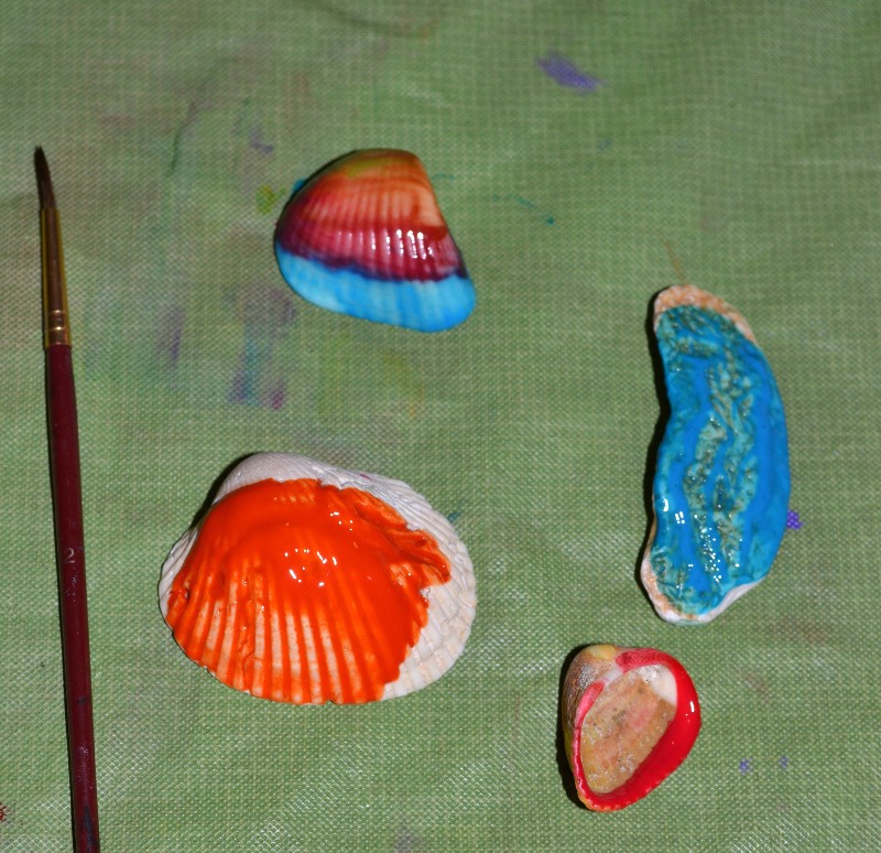 painted shells