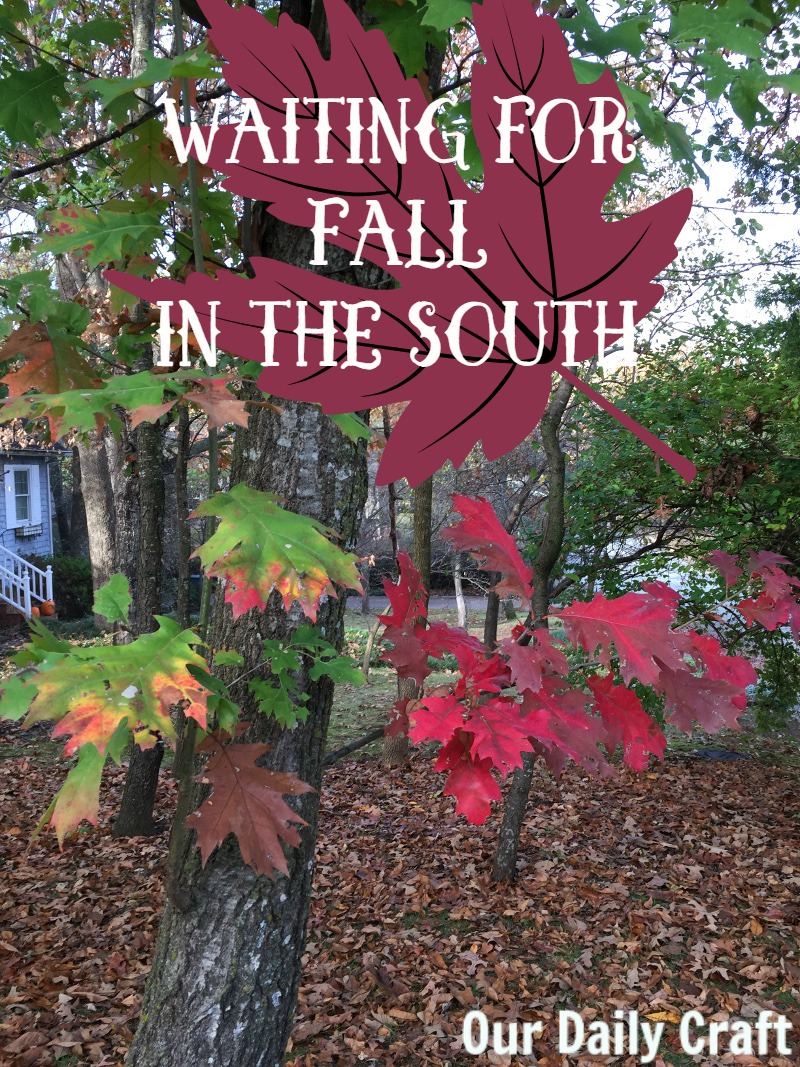 A Southerner's lament as we impatiently wait for fall to start.