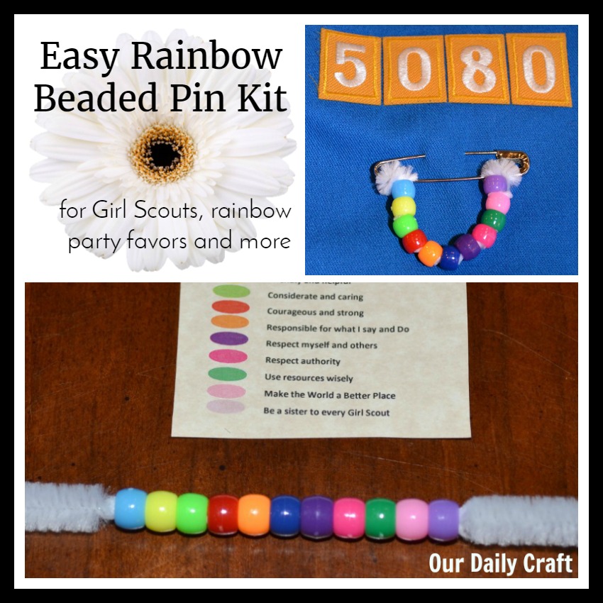 Your Daisies will Love this Easy Rainbow Beaded Pin