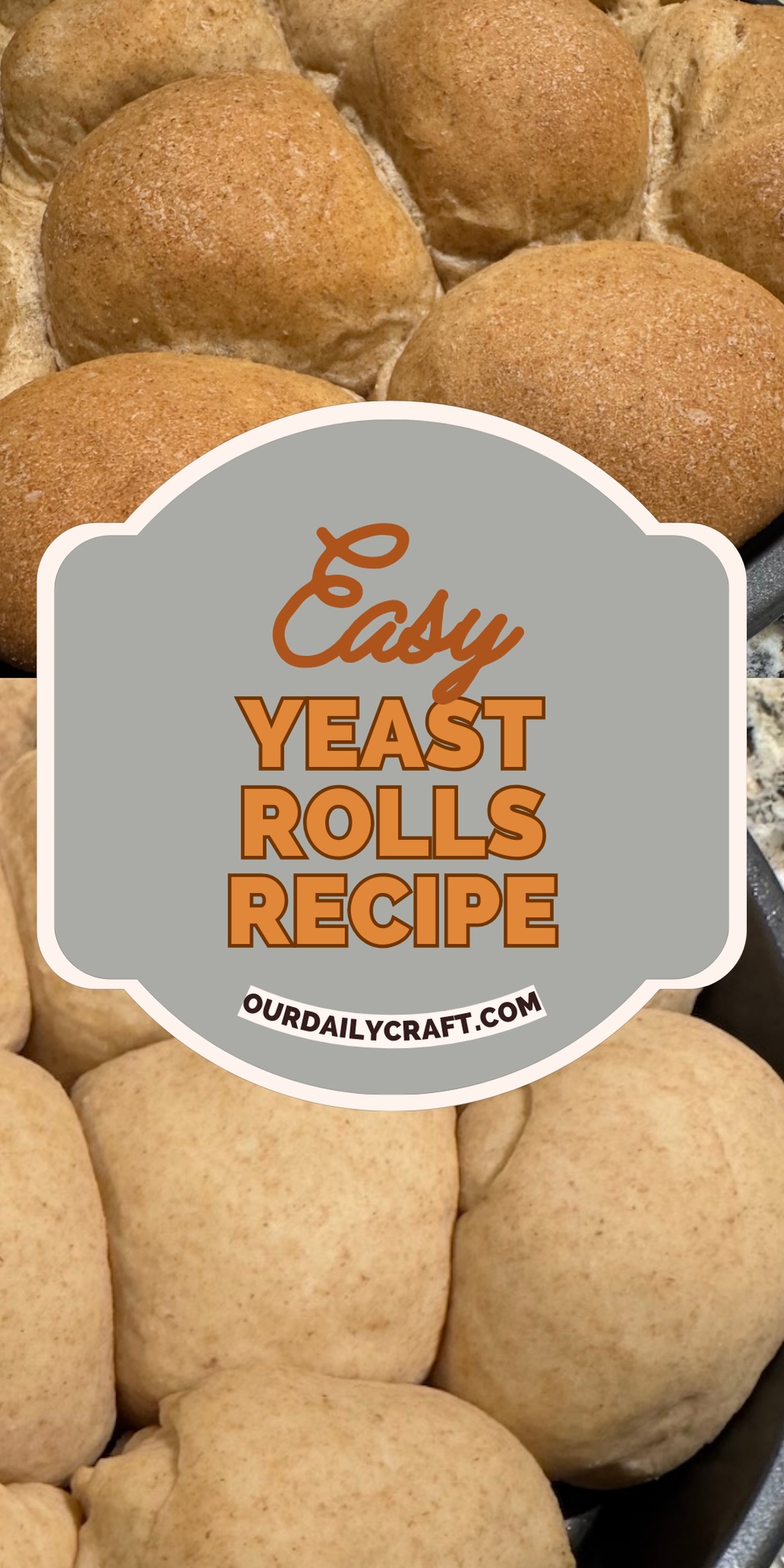 Easy Yeast Rolls Recipe - Our Daily Craft